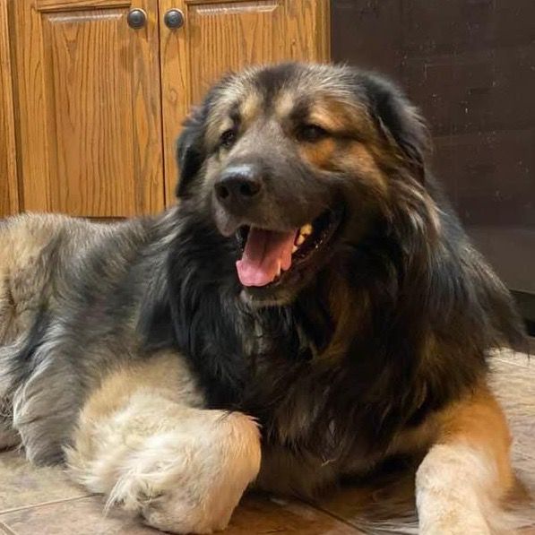 Profile Picture of Gary Ringenberg (@garyringenberg) on Tiktok