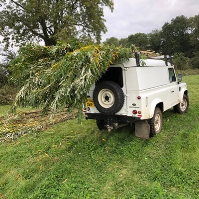 Profile Picture of Erik Ansell  🌳 (@erik_ansell) on Twitter