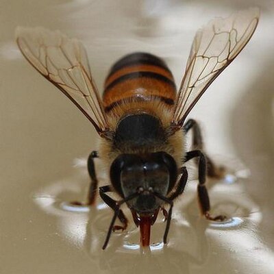 Profile Picture of Monty Gilbert (@MontyGilbert) on Twitter