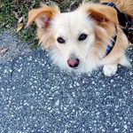 Profile Picture of Gordon F Tabor-Rhodes (@taborrhodes) on Instagram