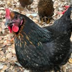 Profile Picture of Connie Philip (@Connie-Philip) on Facebook