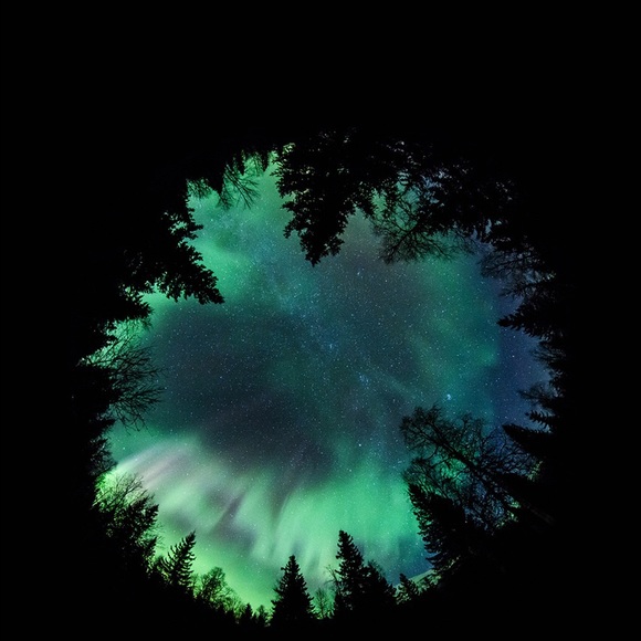 Profile Picture of Samantha Grabowski (@sgrab931191) on Poshmark