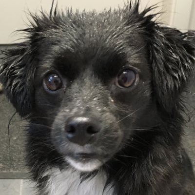 Profile Picture of Benjamin Rothermel (@Rothermel83) on Twitter