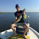 Profile Picture of Will Hogan (@willphogan) on Instagram