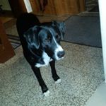 Profile Picture of Julia Schönfeld (@schoenfeldjulia) on Instagram