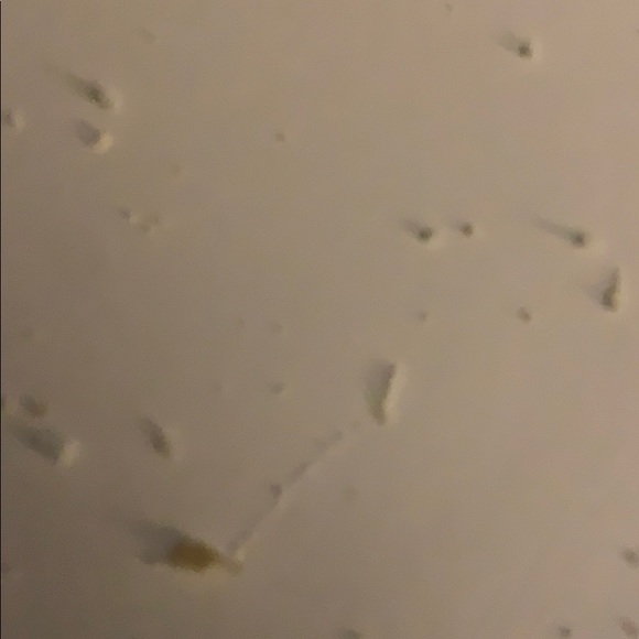 Profile Picture of Shawn Kosanovich (@skosanovich) on Poshmark