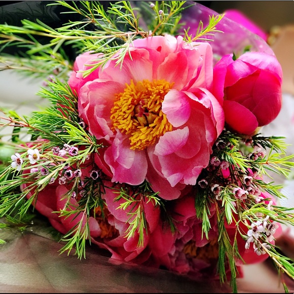 Profile Picture of Qing Li (@qinglee) on Poshmark