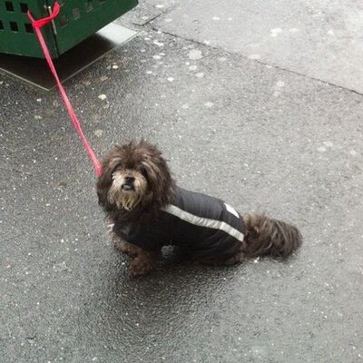 Profile Picture of Huw Parkinson (@rudorff) on Twitter