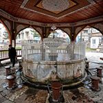 Profile Picture of Aimone Thomas (@aimonethomas) on Instagram