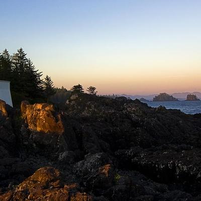 Profile Picture of Randy Alston (@ivorycredit) on Twitter