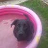 Profile Picture of Jack McDougall (@@jack_mcdougall) on Tiktok