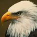 Profile Picture of Delbert Stewart (@delbert.stewart.7) on Facebook