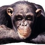 Profile Picture of Michael Condliffe (@michaelcondliffe) on Instagram