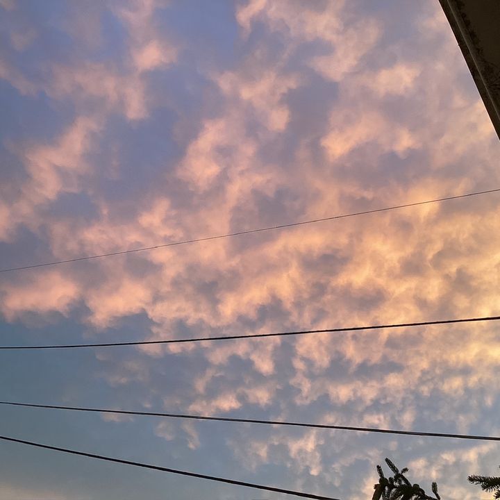 Profile Picture of Jesse Howell (@jessehowell96) on Tiktok