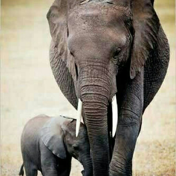 Profile Picture of Carly Pierce (@carlyp2198) on Poshmark