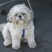 Profile Picture of Thomas Umlauf (@thomas.umlauf.1) on Facebook