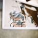 Profile Picture of Gary Mok (@whmok97) on Pinterest