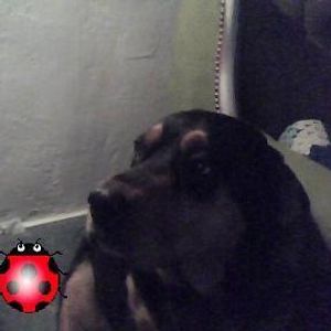 Profile Picture of James Dimare (@123635299) on Myspace