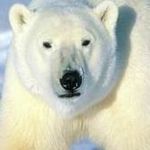 Profile Picture of Vincent Dodd (@vincentdodd) on Instagram