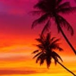 Profile Picture of Oliver Stewart (@_oliver_stewart_) on Instagram