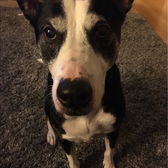 Profile Picture of Bailey Bailey (@bbaileyk) on Poshmark