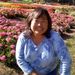 Profile Picture of Alice Fujikawa Murphy (@amurphy111) on Pinterest