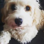 Profile Picture of Evan Hynes (@hynes.evan) on Instagram