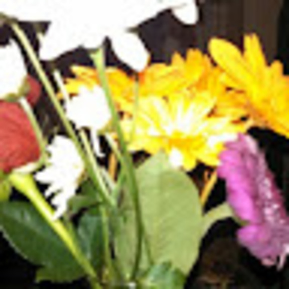 Profile Picture of Janice Hillpot (@janicehillpot) on Poshmark