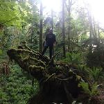 Profile Picture of Andrew Kolberg (@llamaforce1) on Instagram