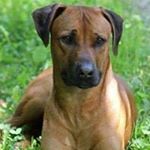 Profile Picture of rainer.wenzel.bt (@rainer.wenzel.bt) on Instagram