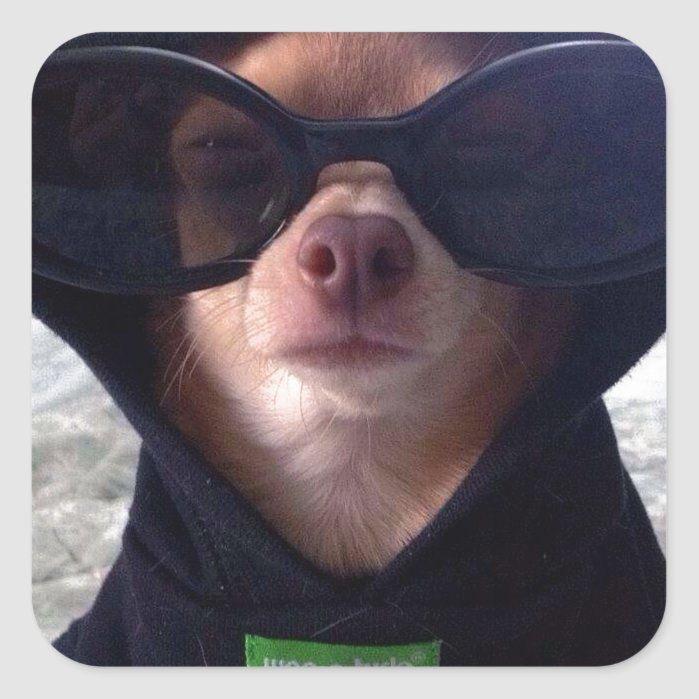 Profile Picture of antoniacoffe (@antoniacoffe) on Tiktok