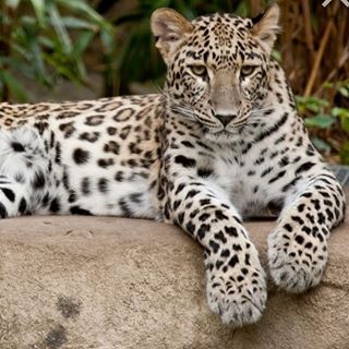 Gokhan Alici - Facebook Profile Picture of Gokhan Alici (@gokhan.alici.507679) on Facebook