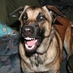 Profile Picture of Shawn Freitas (@shawn.freitas) on Instagram