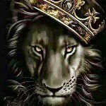 Profile Picture of Keith Ousley (@hp_beast) on Instagram