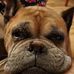 Profile Picture of Bryan Sasser (@bryan.sasser.73) on Facebook