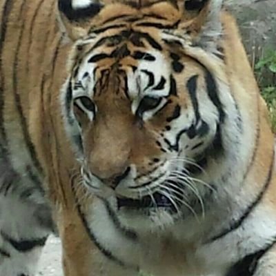 Profile Picture of Ralf Weber (@ralfweber912) on Twitter