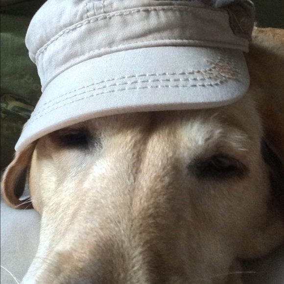 Profile Picture of Jenny Guessford (@jnordy73) on Poshmark