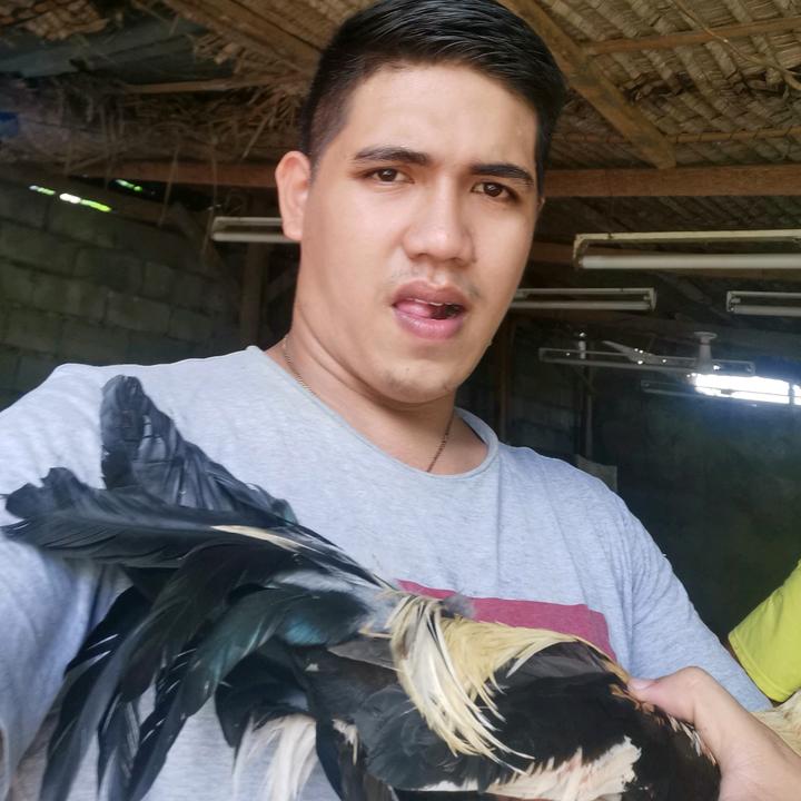 Profile Picture of alexanderdaks (@alexanderdaks) on Tiktok