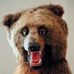 Profile Picture of Matthew Balcombe (@matthew.balcombe.52) on Facebook