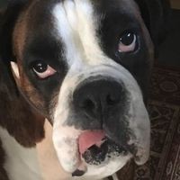 Profile Picture of Iris Beck (@iris-beck-3) on Quora