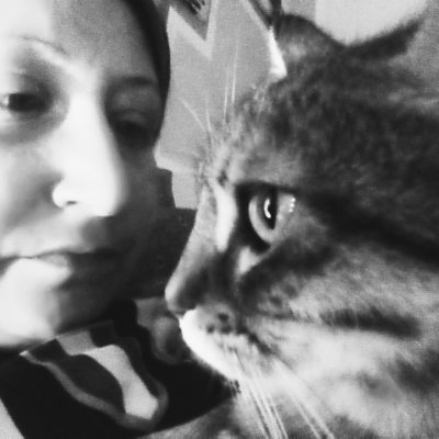 Profile Picture of Lisa Gori (@Annalisa_own) on Twitter