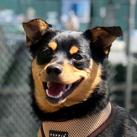 Daniel Schultze - Poshmark Profile Picture of Daniel Schultze (@disrail) on Poshmark