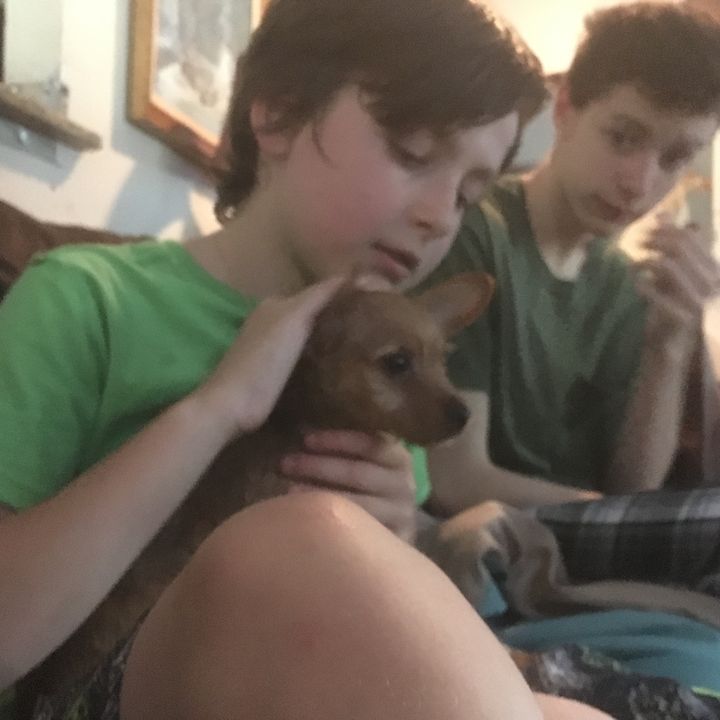 Profile Picture of Robert Scartozzi (@robertscartozzi) on Tiktok
