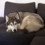 Profile Picture of Eugene_Street (@eugene_12_15) on Instagram