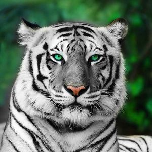 Profile Picture of Emilio Guzman (@sonchevere) on Myspace