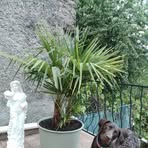 Profile Picture of Christian Strubel (@Christian-Strubel) on Facebook