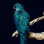 Profile Picture of Saima Nadeem (@saima.nadeem.5264382) on Instagram