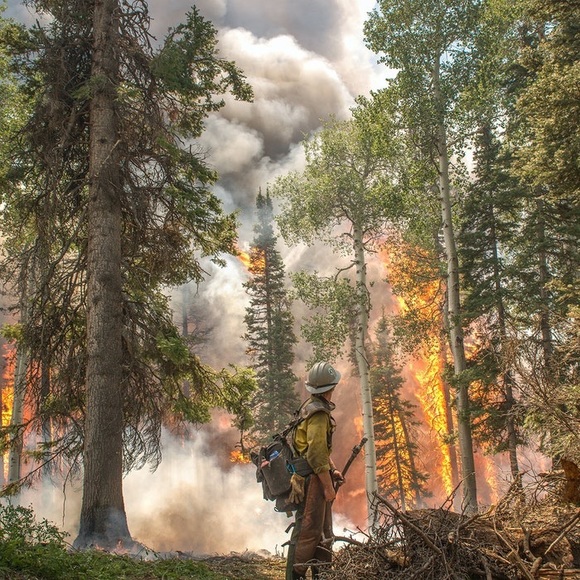 Profile Picture of Nicholas Deleske (@nicholasdeleske) on Poshmark