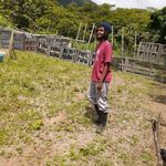 Profile Picture of Crossnine (@crossnine9) on Instagram