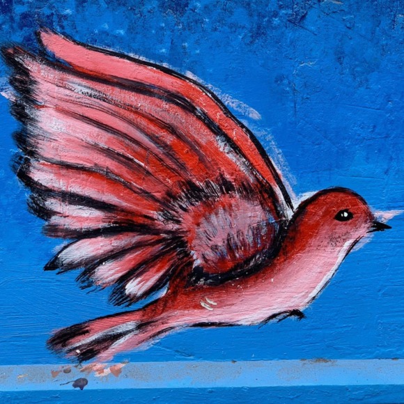 Madeline Musante - Poshmark Profile Picture of Madeline Musante (@denimdream) on Poshmark